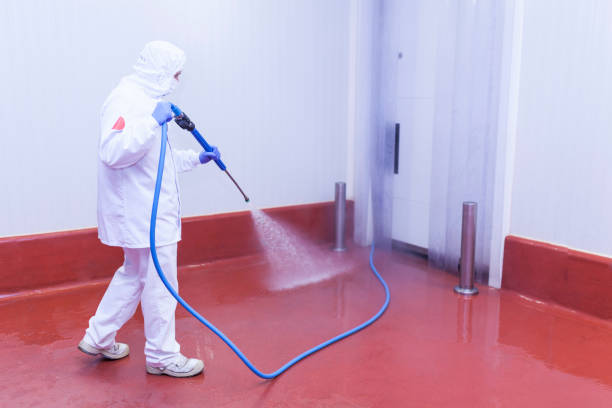 Best Post-Construction Pressure Washing  in Seminole, FL