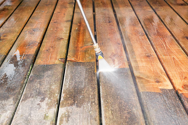 Best Dumpster Area Cleaning  in Seminole, FL